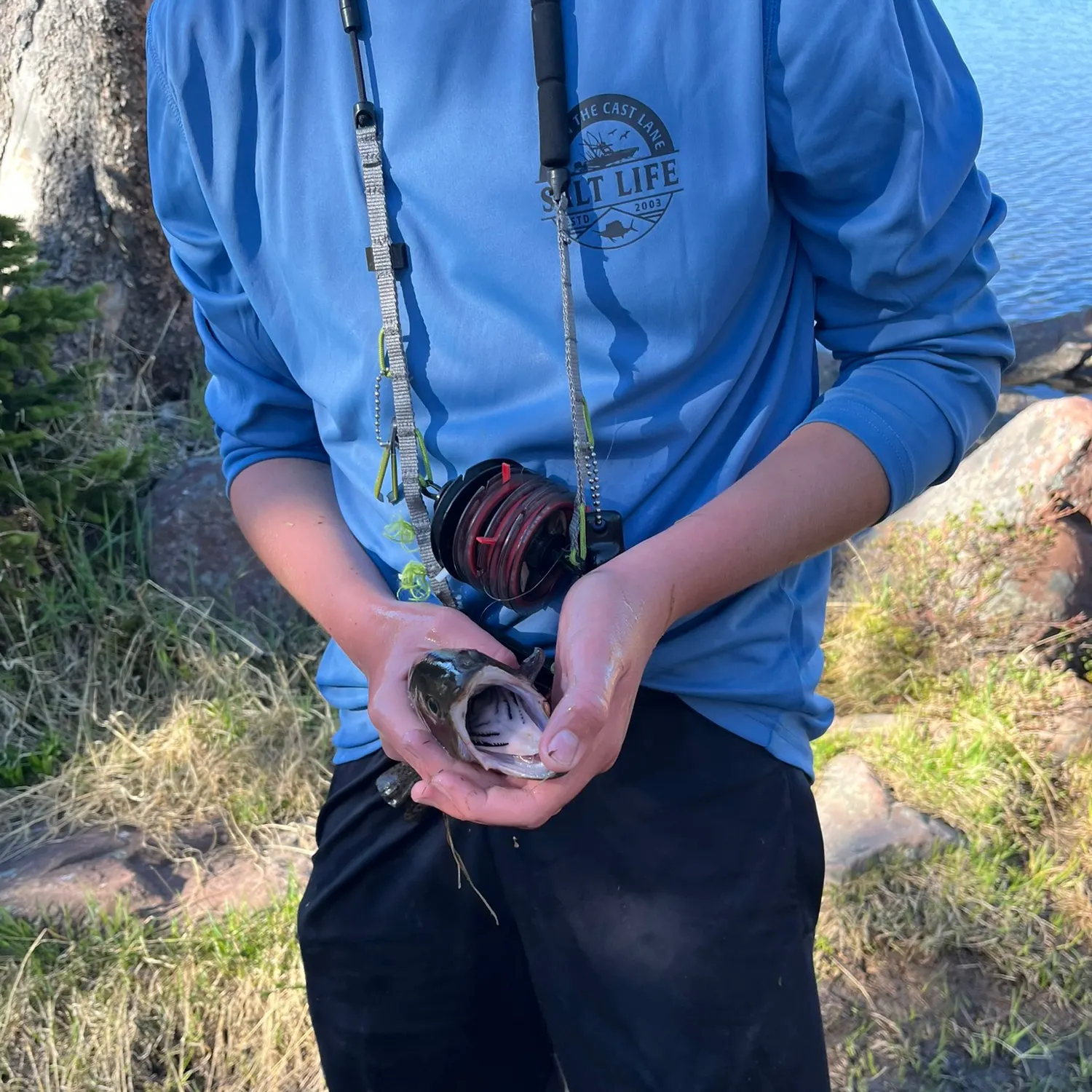 Fish caught on Fishbrain
