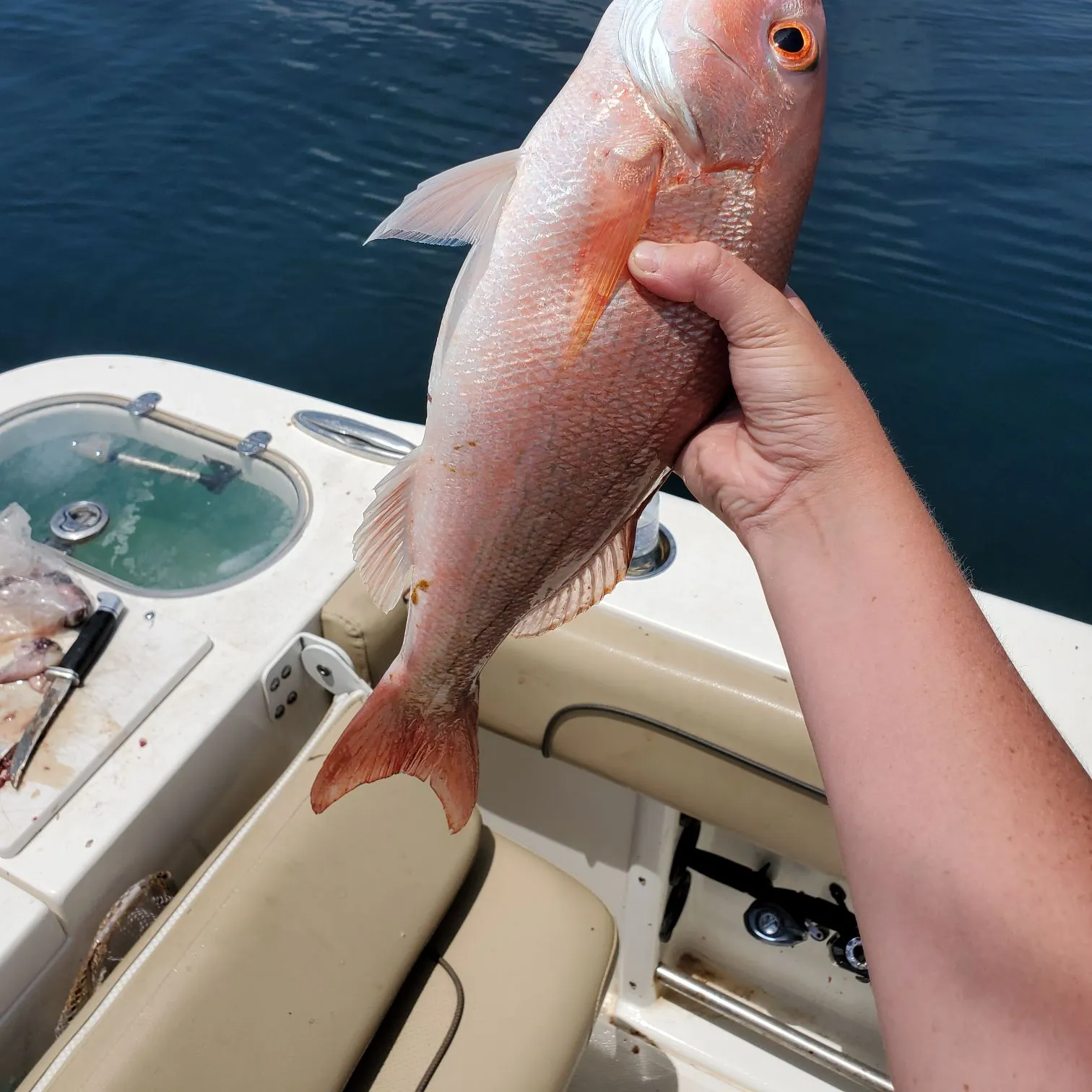 most liked catch image