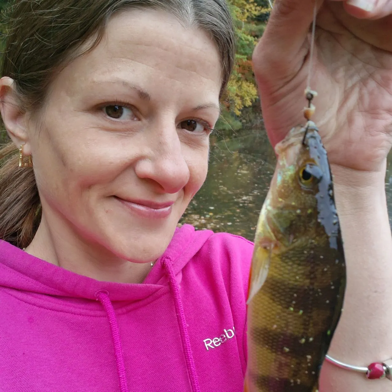 Yellow perch caught on Fishbrain