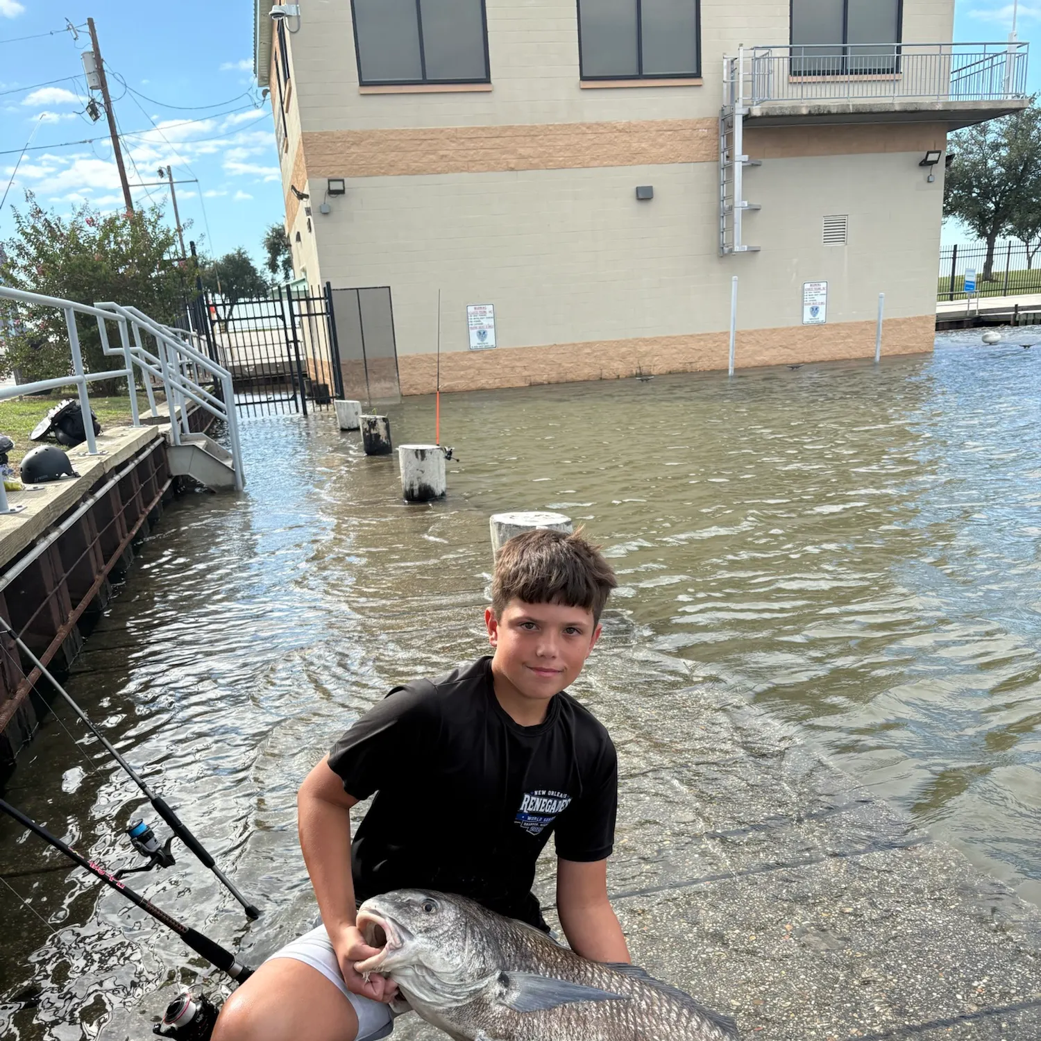 Black drum caught on Fishbrain