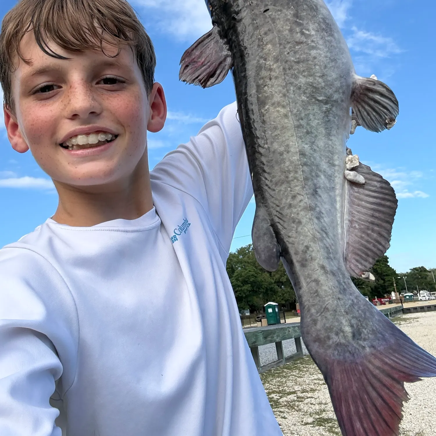 White bullhead caught on Fishbrain