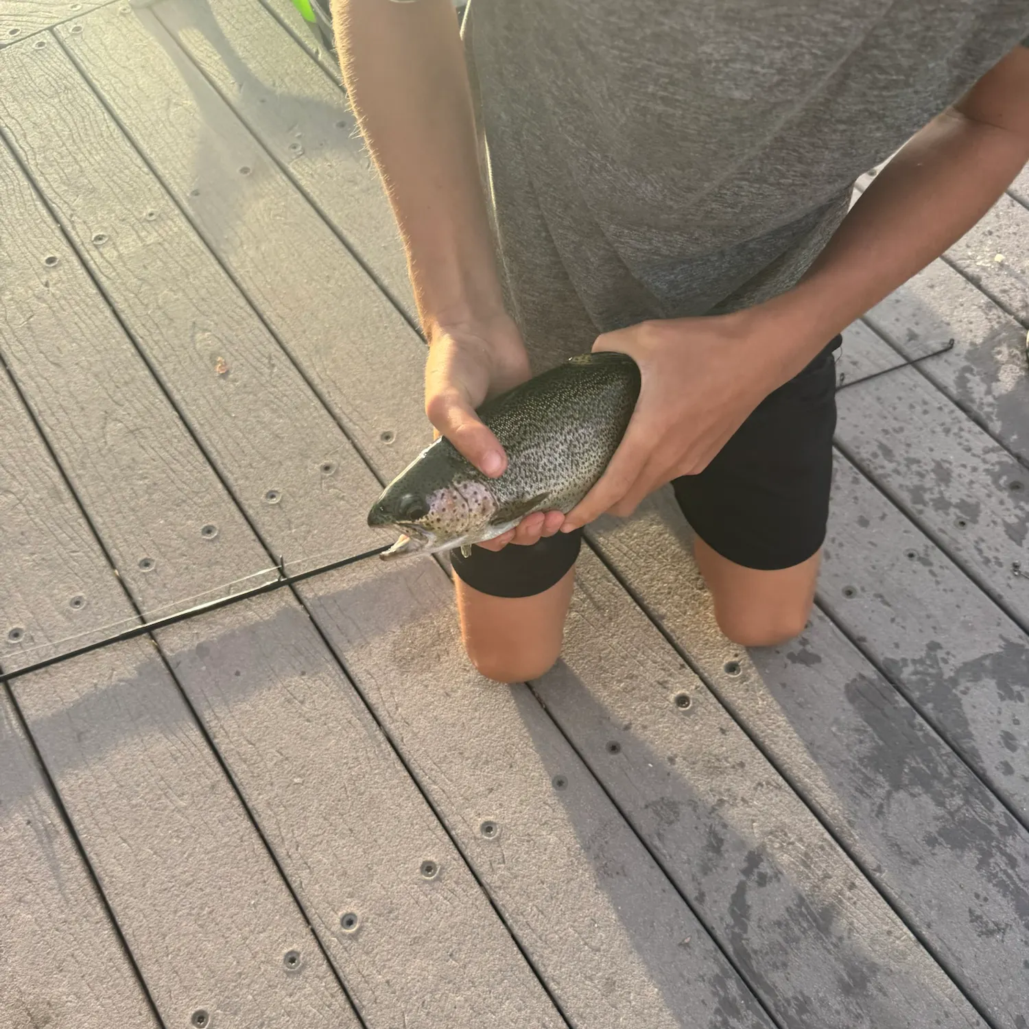 Rainbow trout caught on Fishbrain