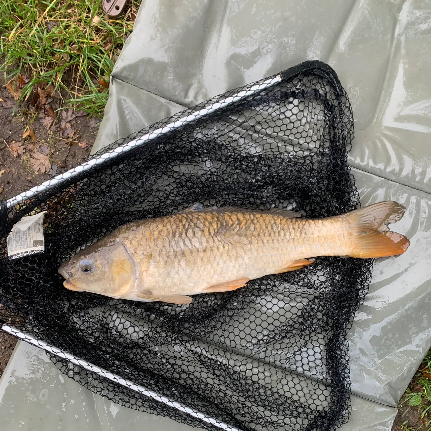 angler catch