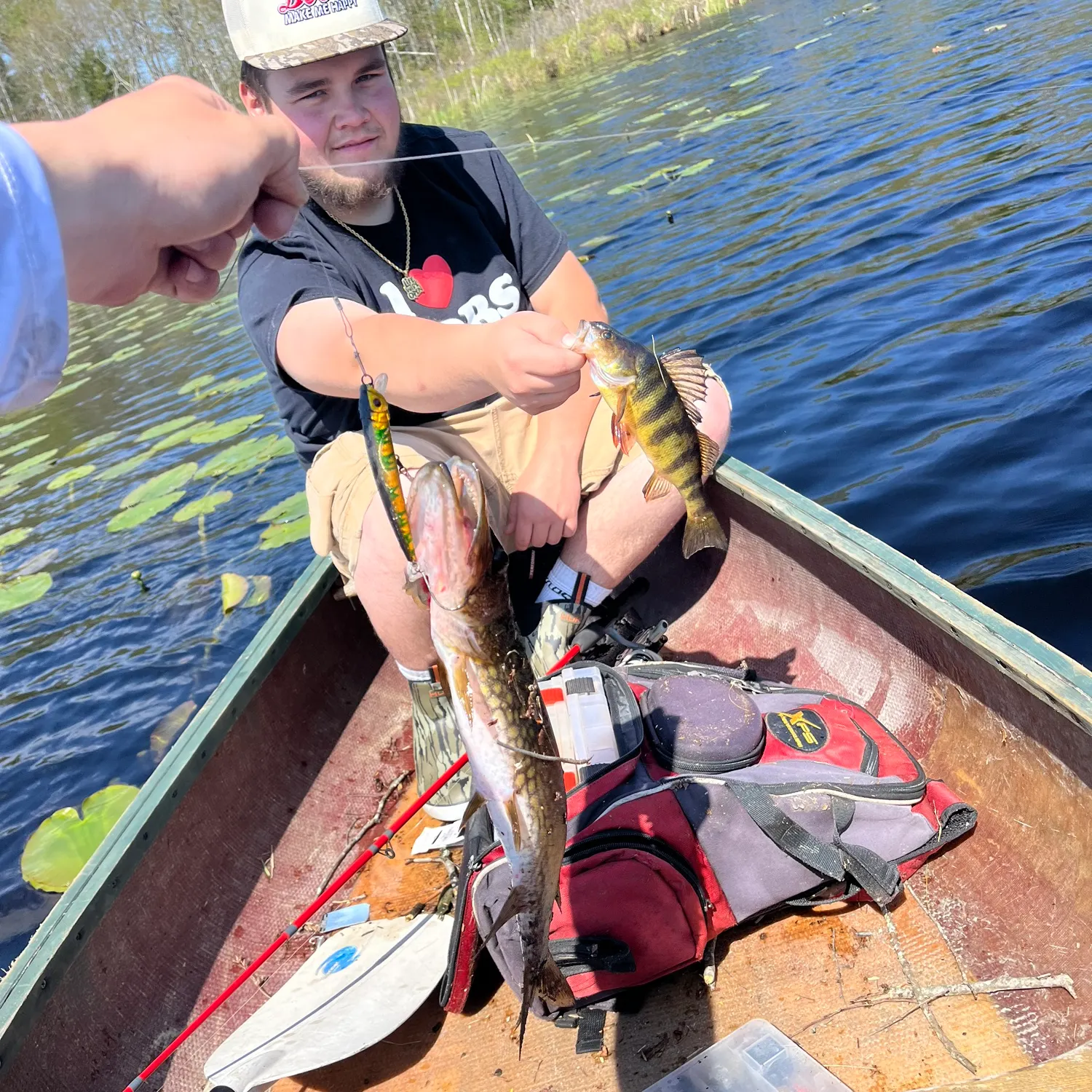 recently logged catches