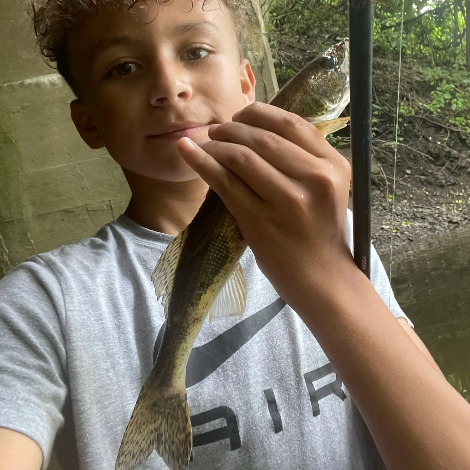 The most recent Sauger catches on Fishbrain