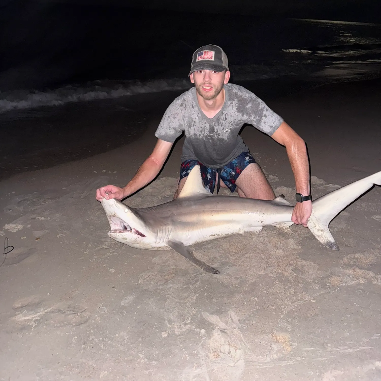 The most recent Blacktip shark catches on Fishbrain