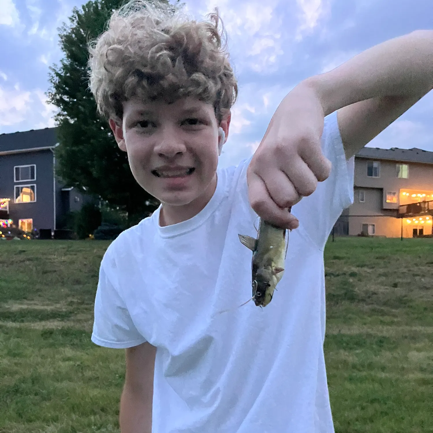 Brown bullhead caught on Fishbrain