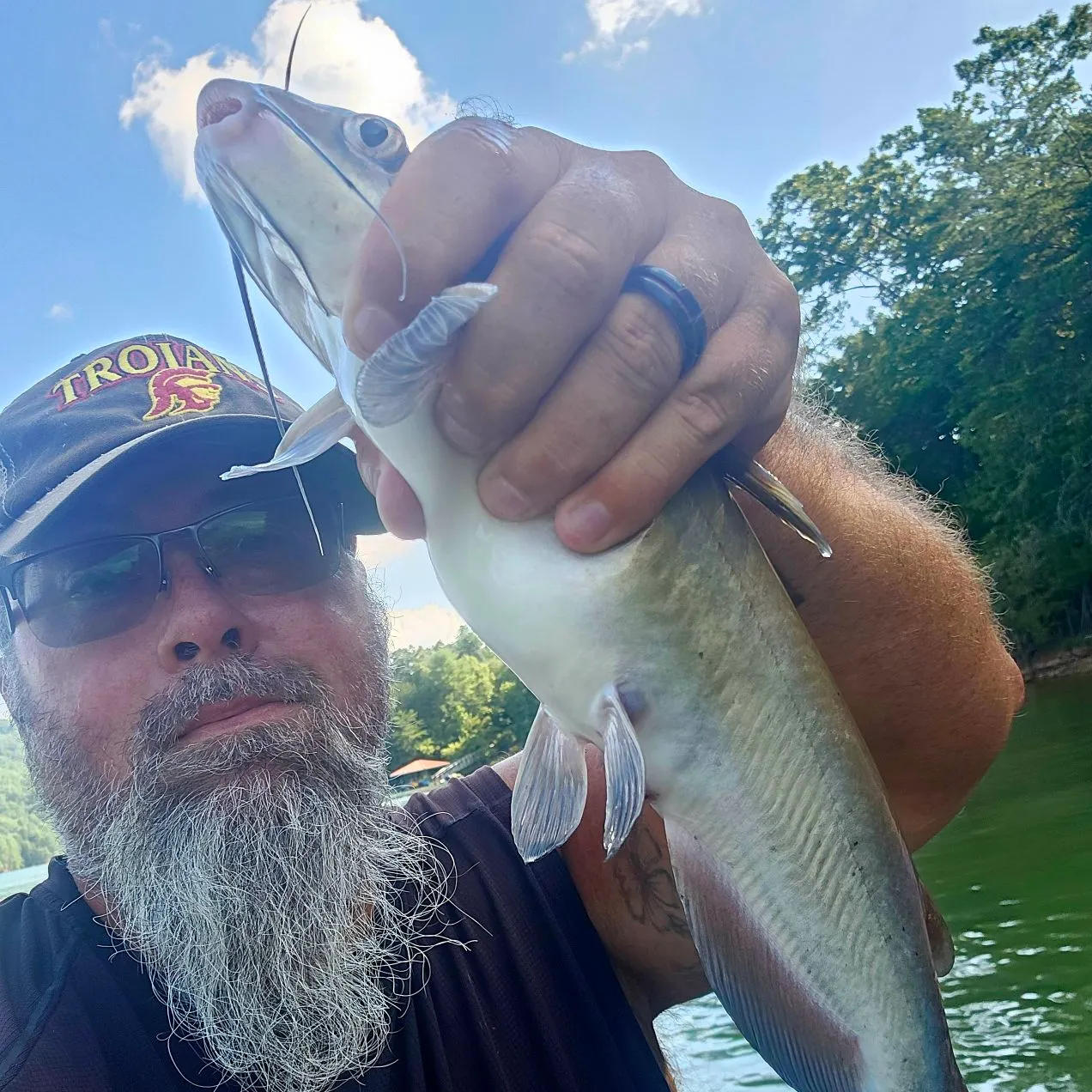 The most recent Channel catfish catches on Fishbrain