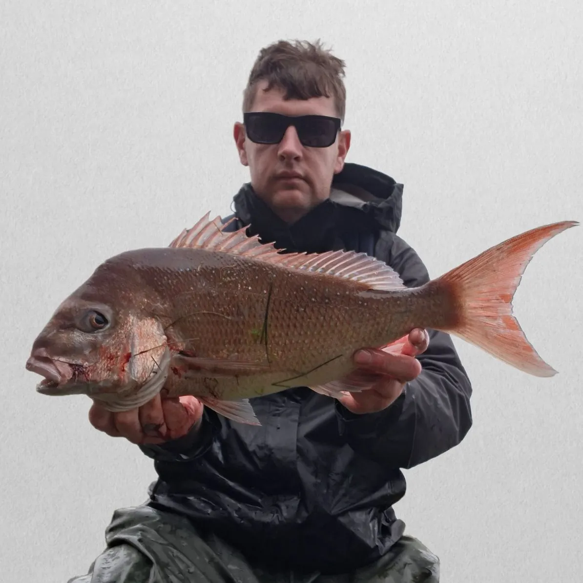 Australasian snapper caught on Fishbrain