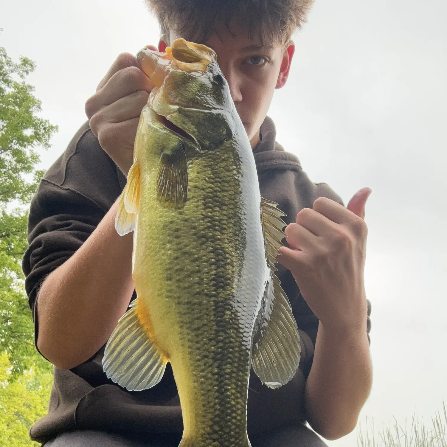 Largemouth bass caught on Fishbrain