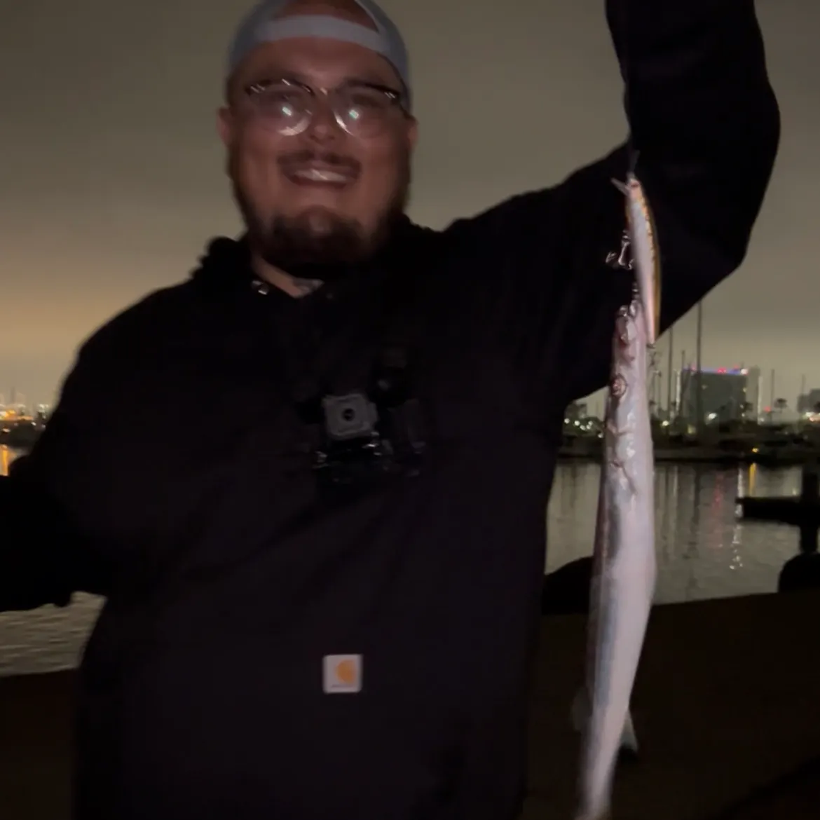 The most recent Pacific barracuda catches on Fishbrain