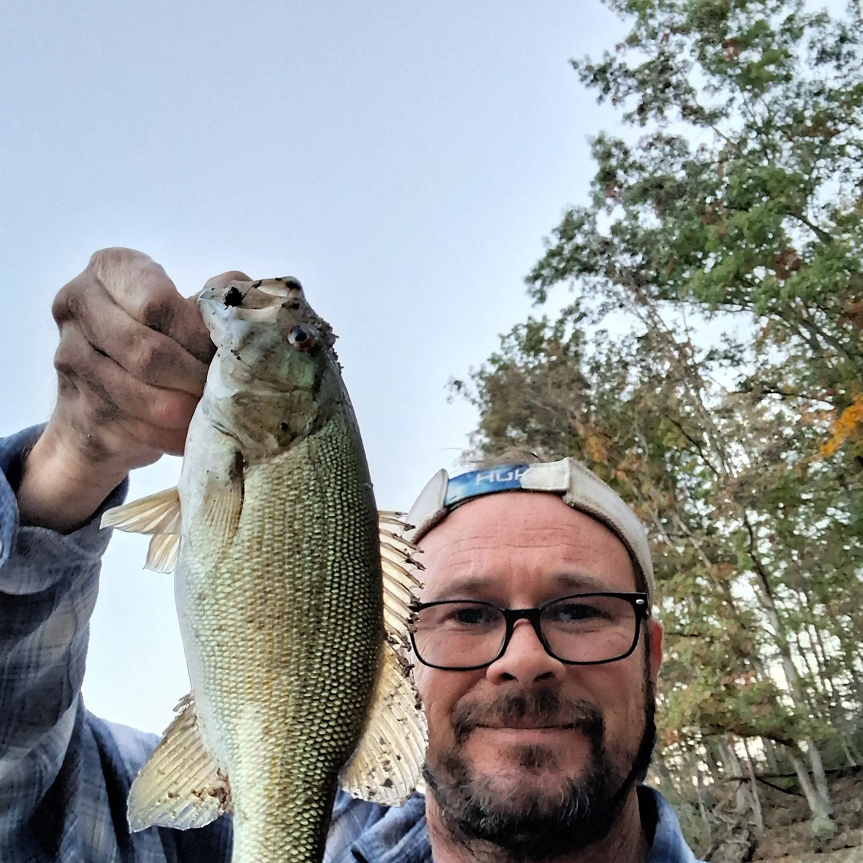 Smallmouth bass caught on Fishbrain