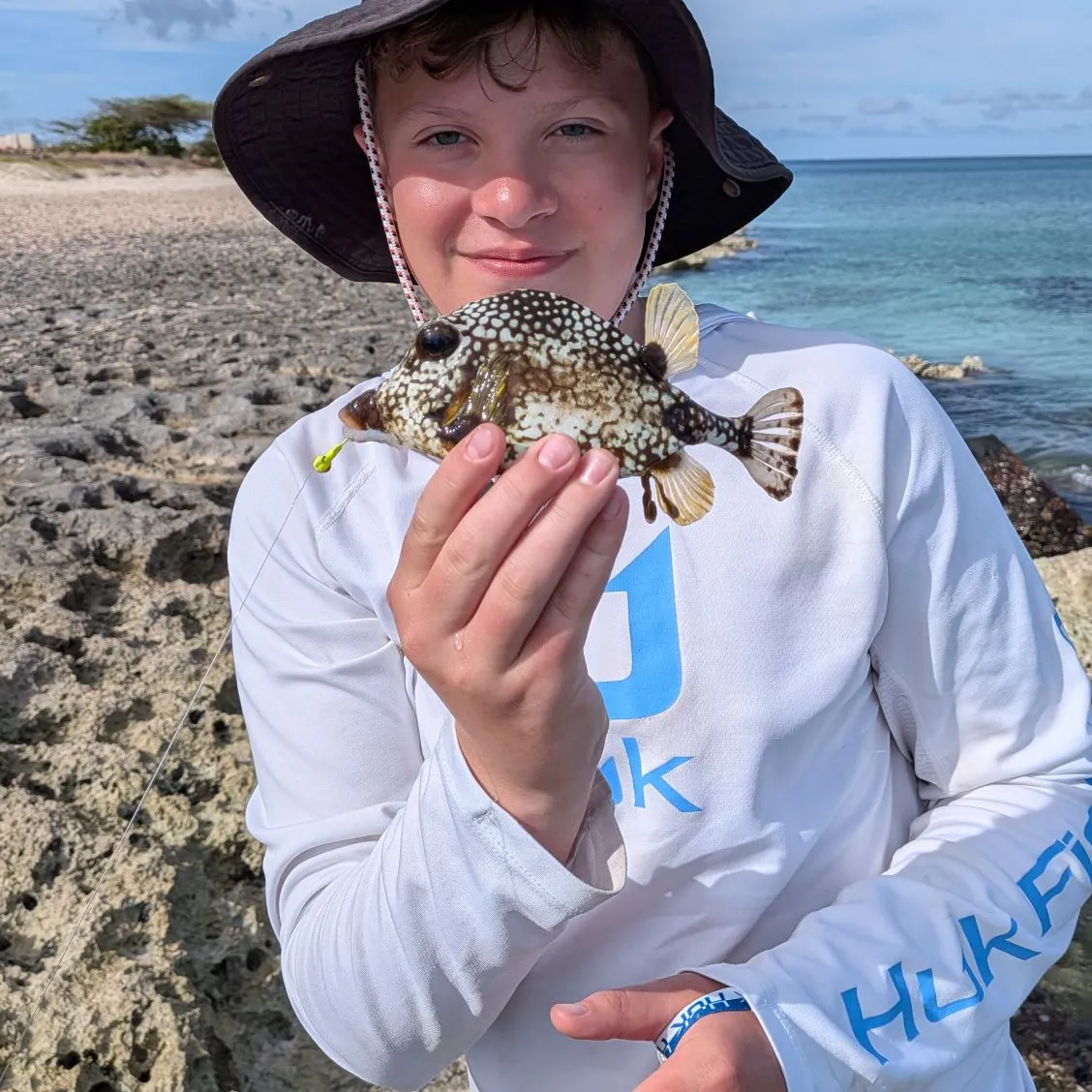 The most recent Smooth trunkfish catches on Fishbrain