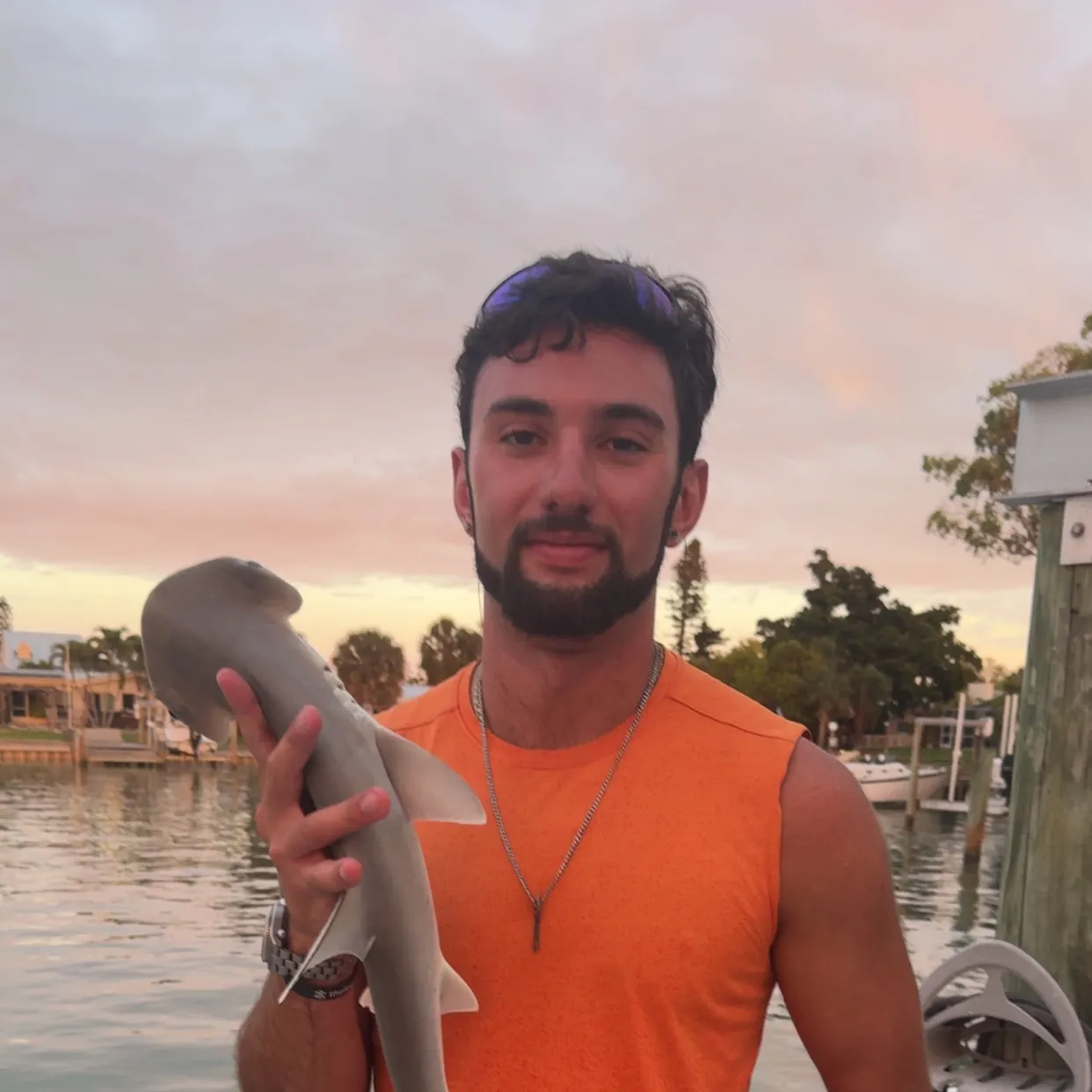 The most recent Bonnethead shark catches on Fishbrain