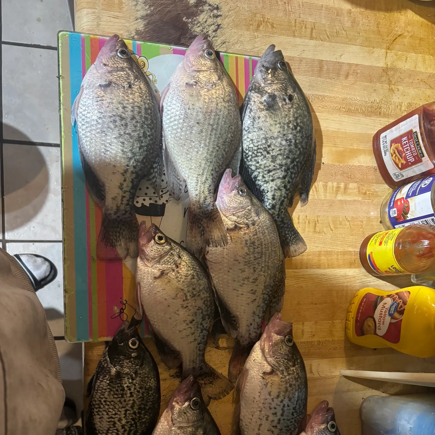 recently logged catches