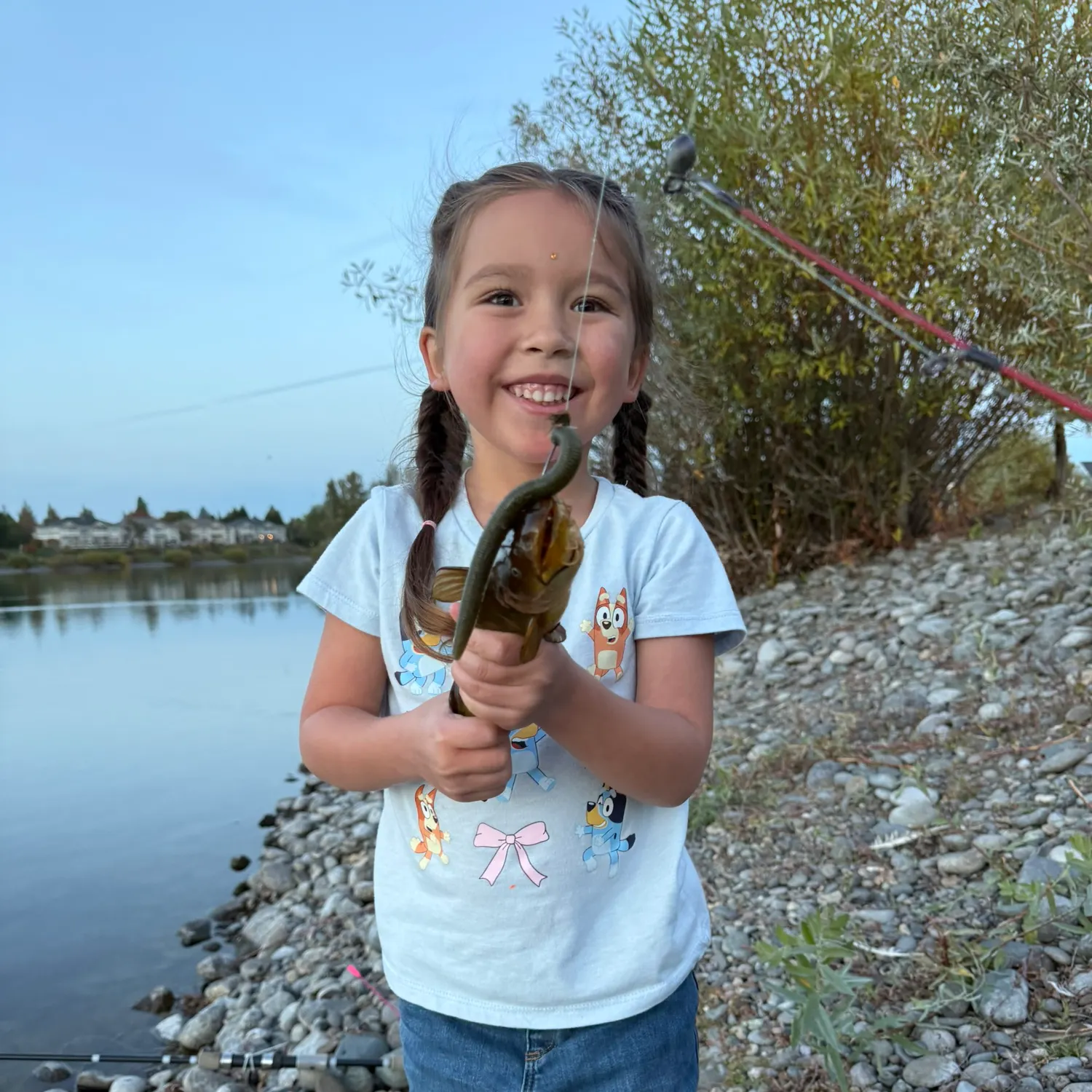 Yellow bullhead caught on Fishbrain