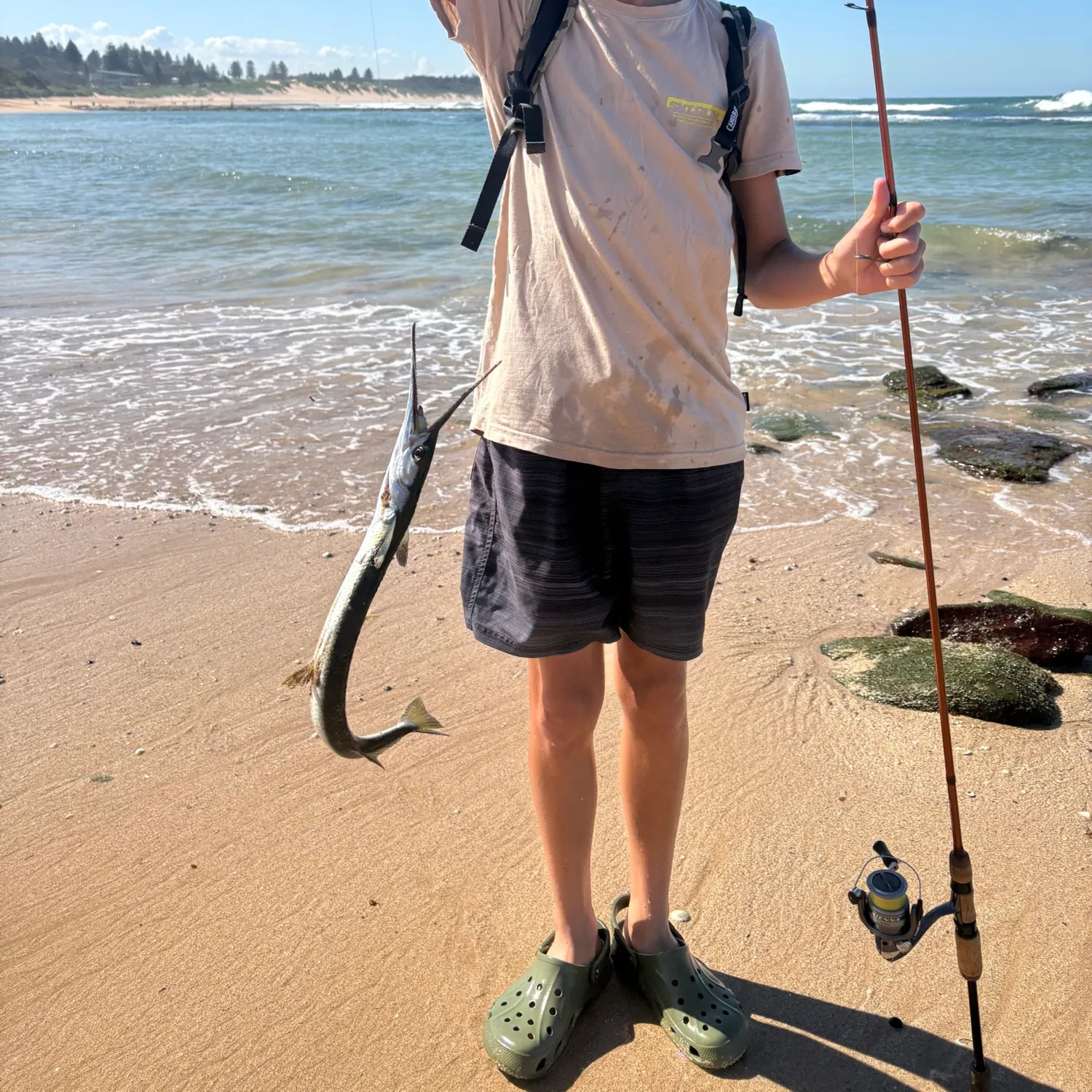 Fish caught on Fishbrain