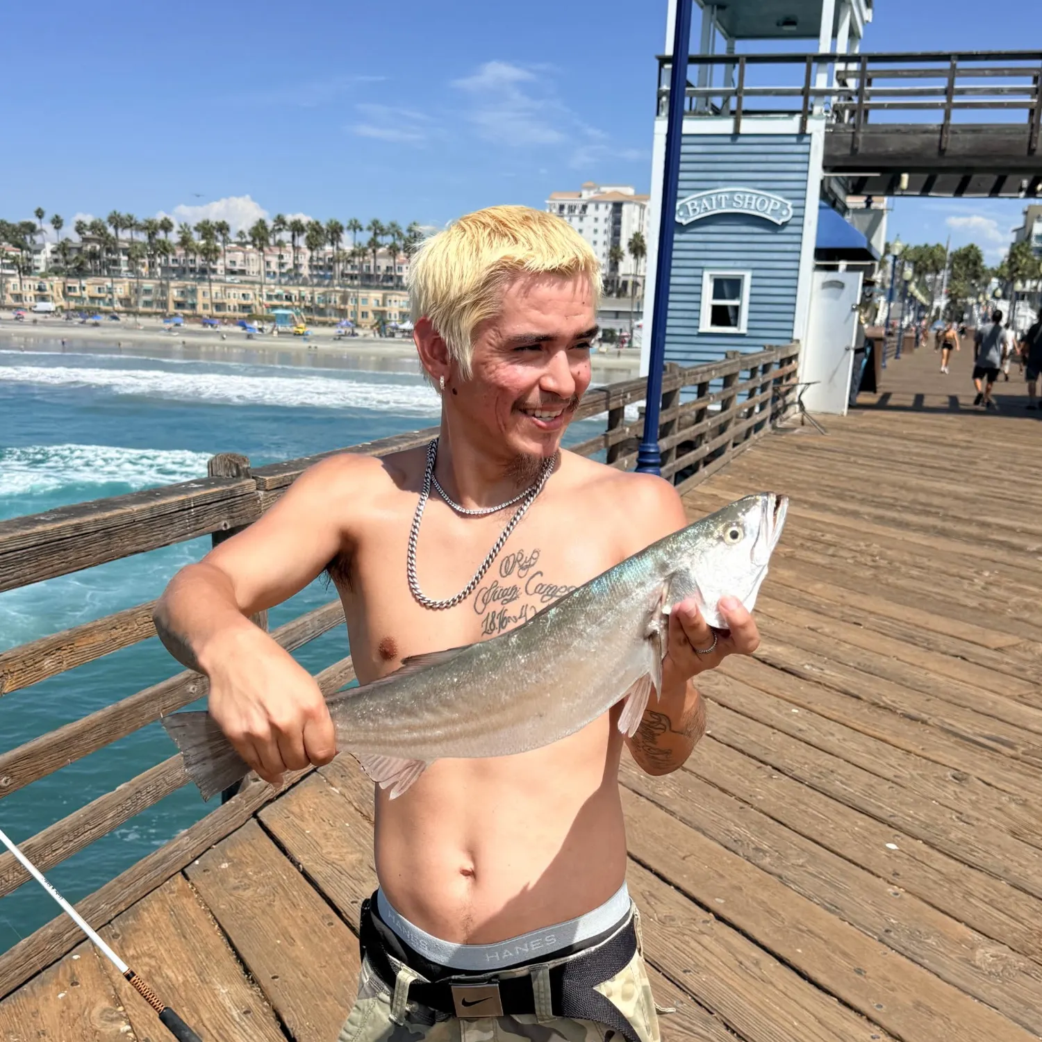 The most recent California corbina catches on Fishbrain
