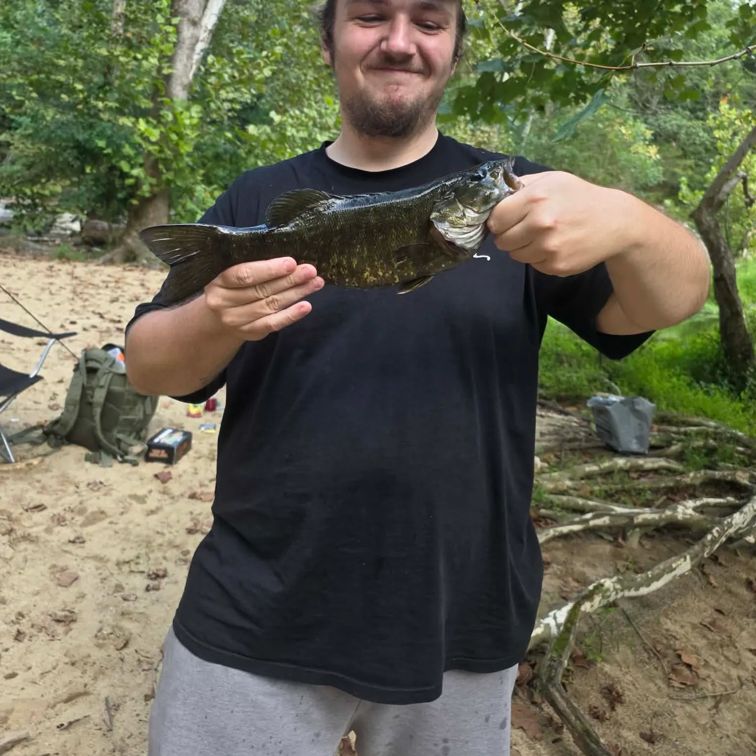 Smallmouth bass caught on Fishbrain