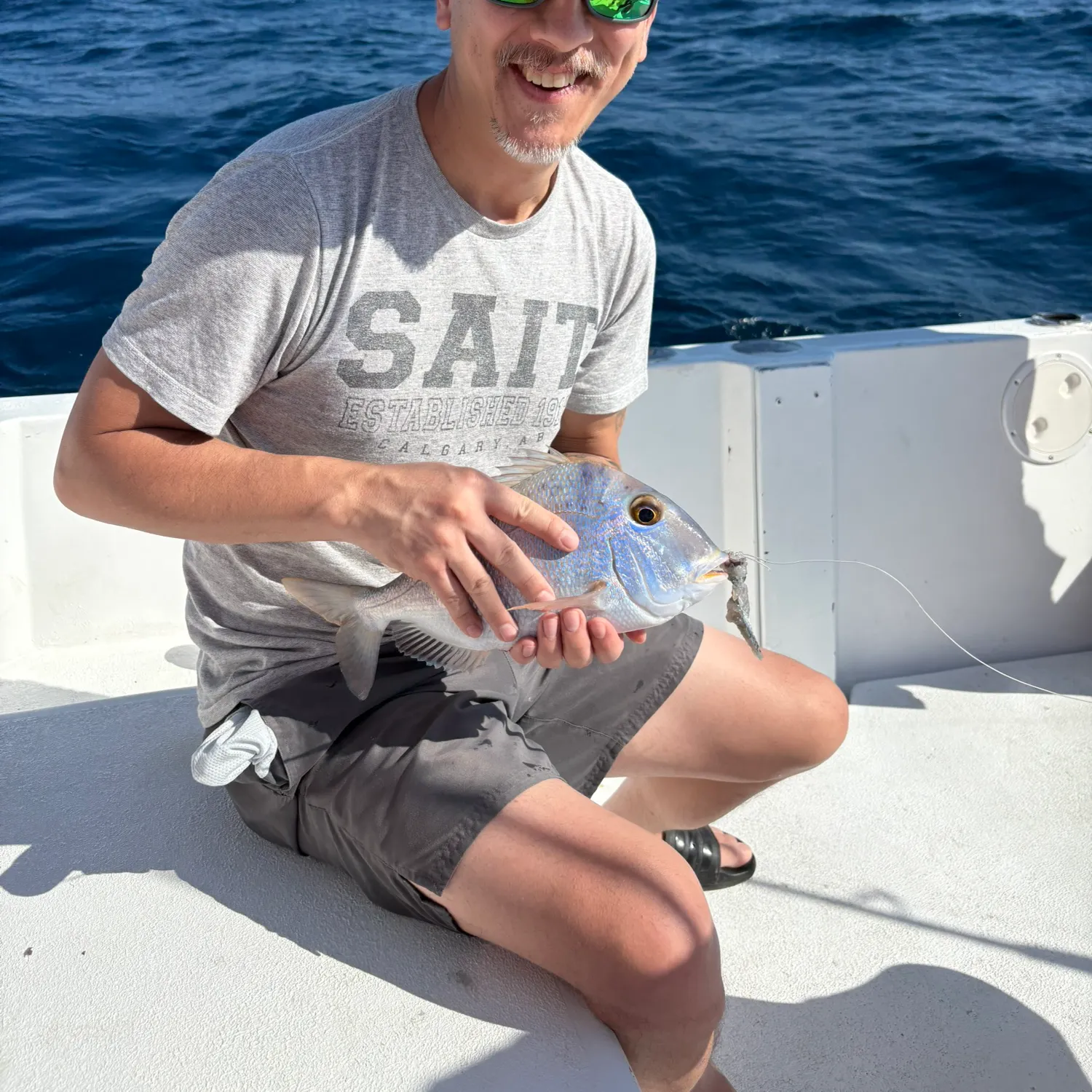 The most recent Black and white snapper catches on Fishbrain