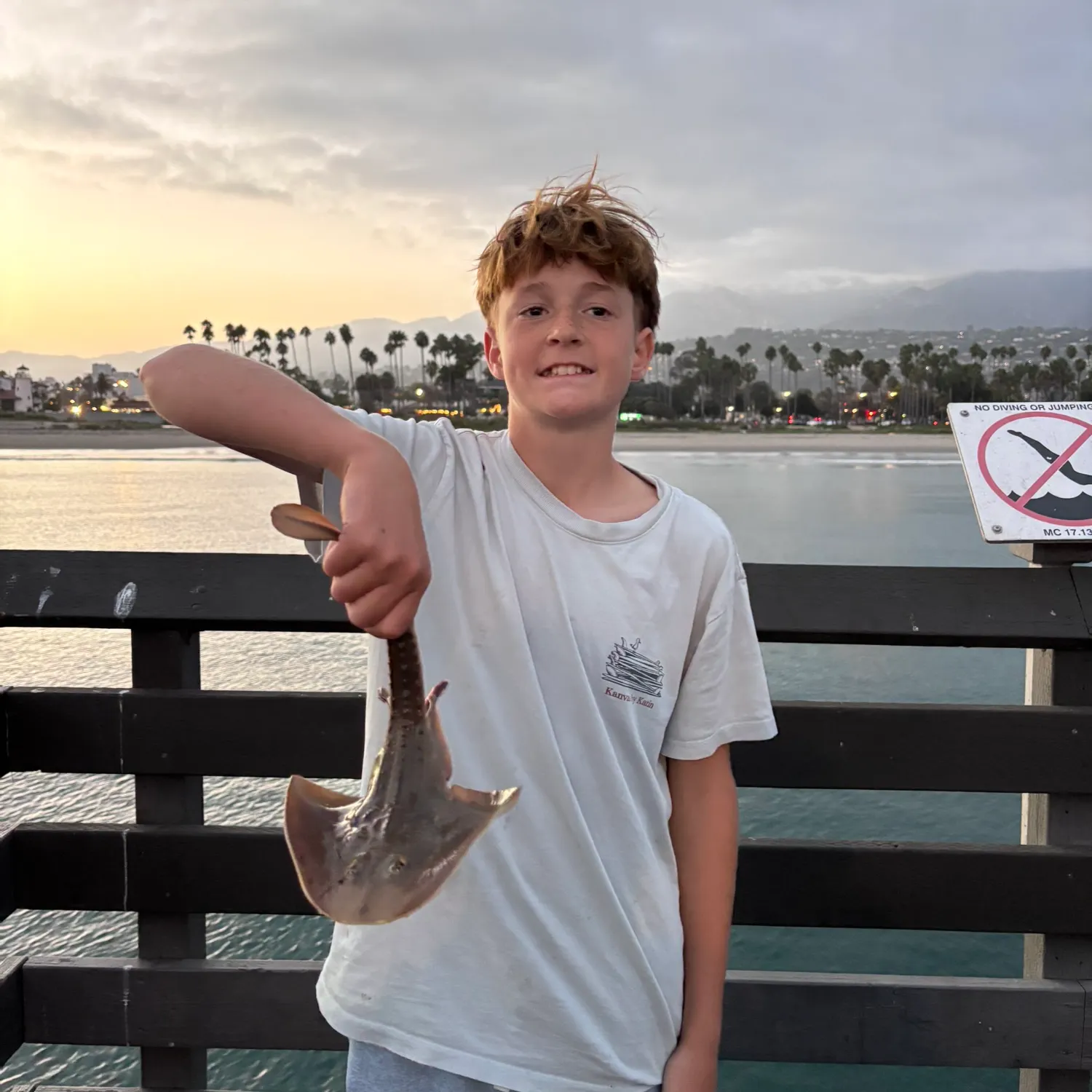 Thornback ray caught on Fishbrain