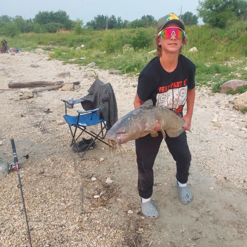 Channel catfish caught on Fishbrain