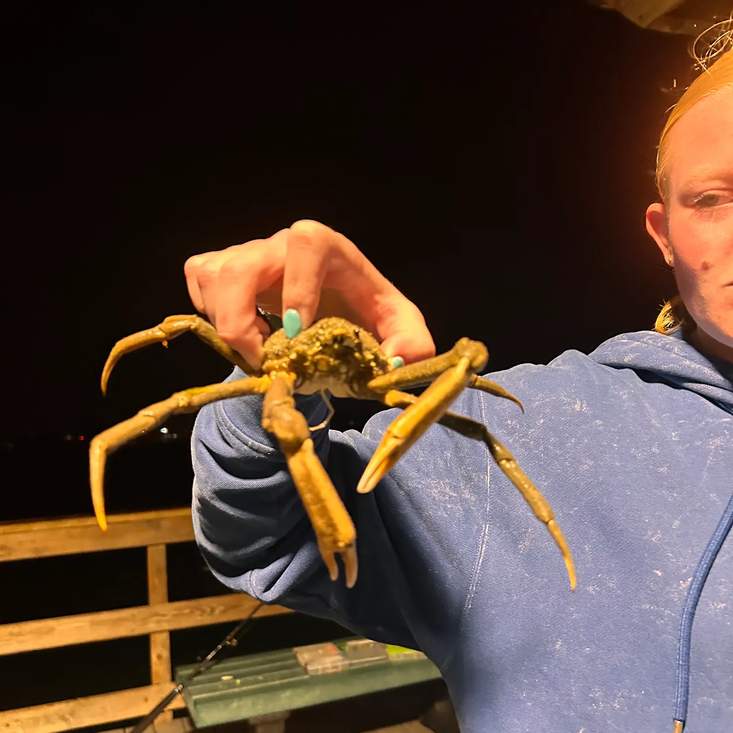 The most popular recent European spider crab catch on Fishbrain