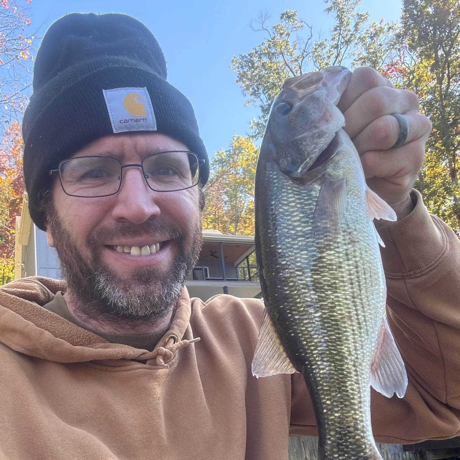 Spotted bass caught on Fishbrain