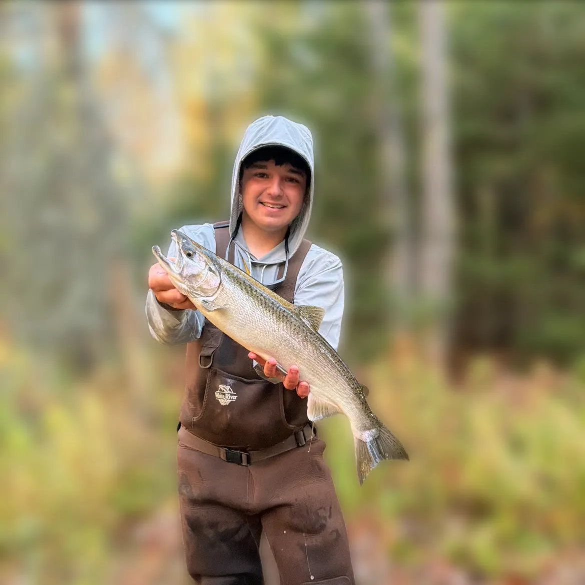 Coho salmon caught on Fishbrain