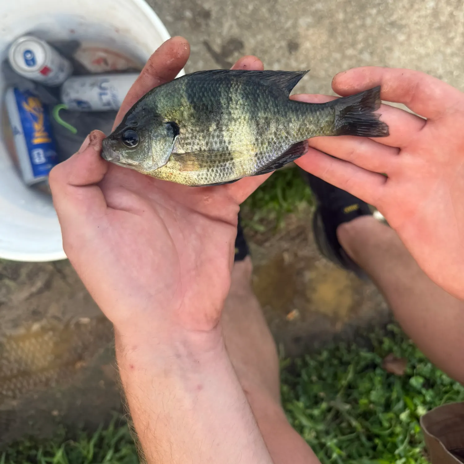 catch