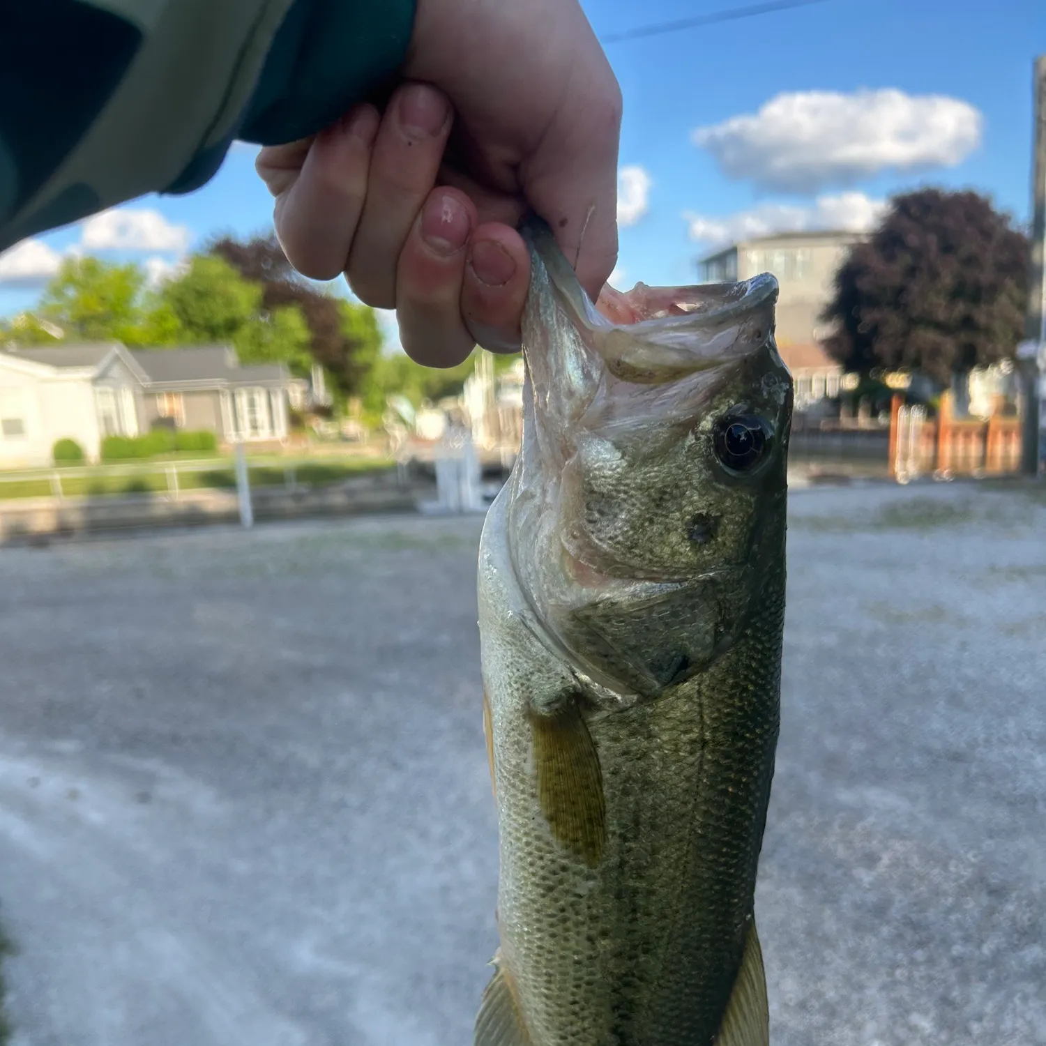 catch