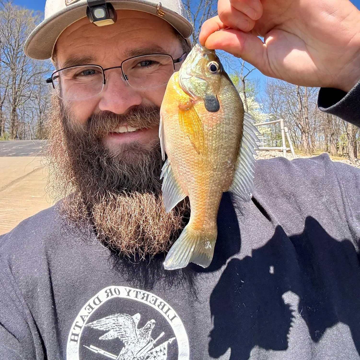 The most recent Bluegill catches on Fishbrain