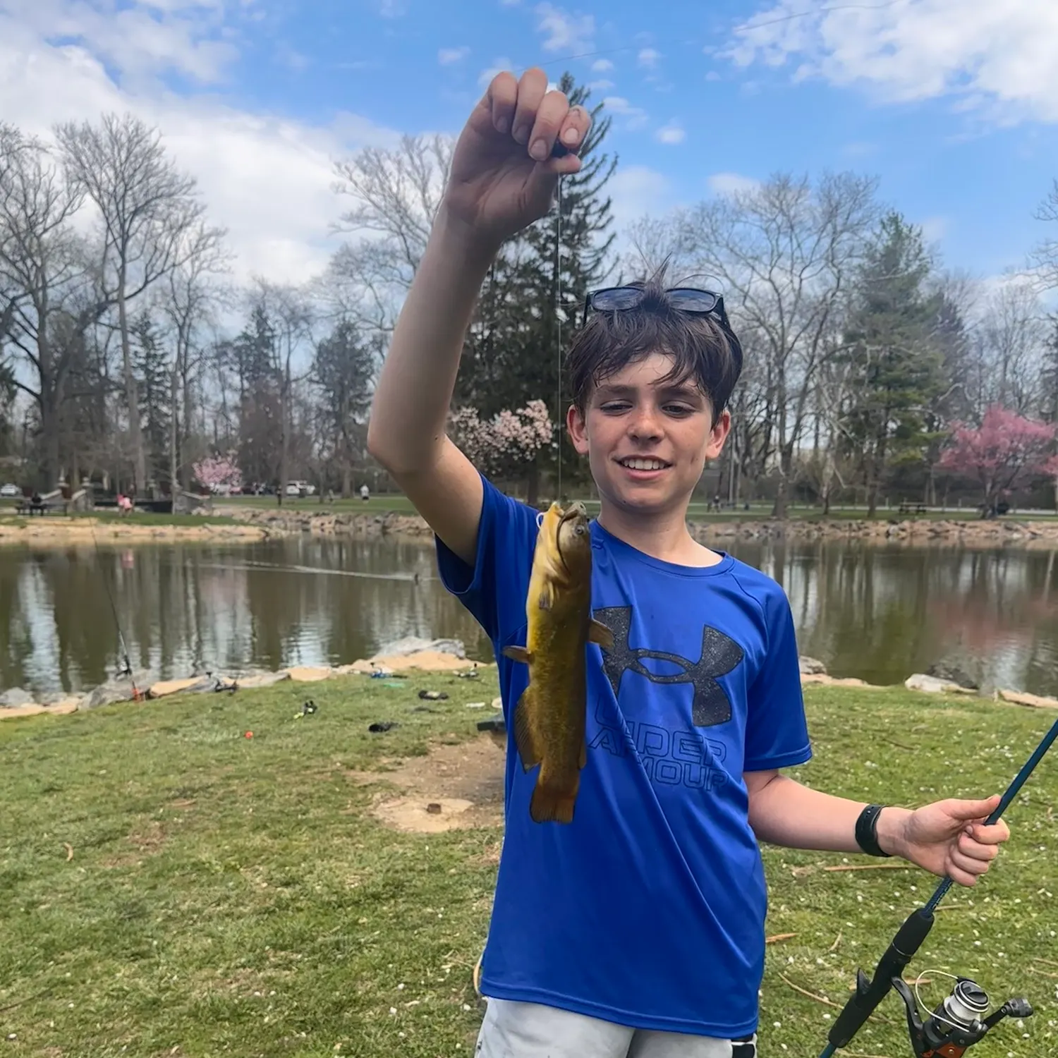 The most recent Yellow bullhead catches on Fishbrain