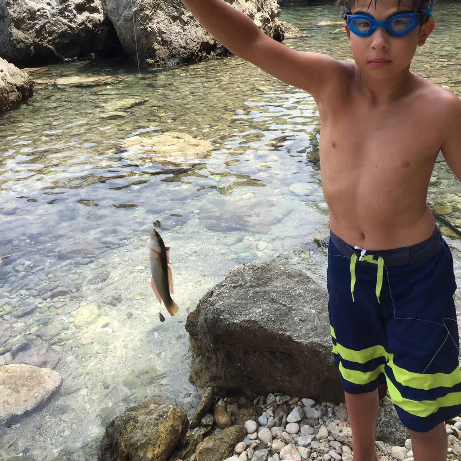 The most recent Mediterranean rainbow wrasse catches on Fishbrain