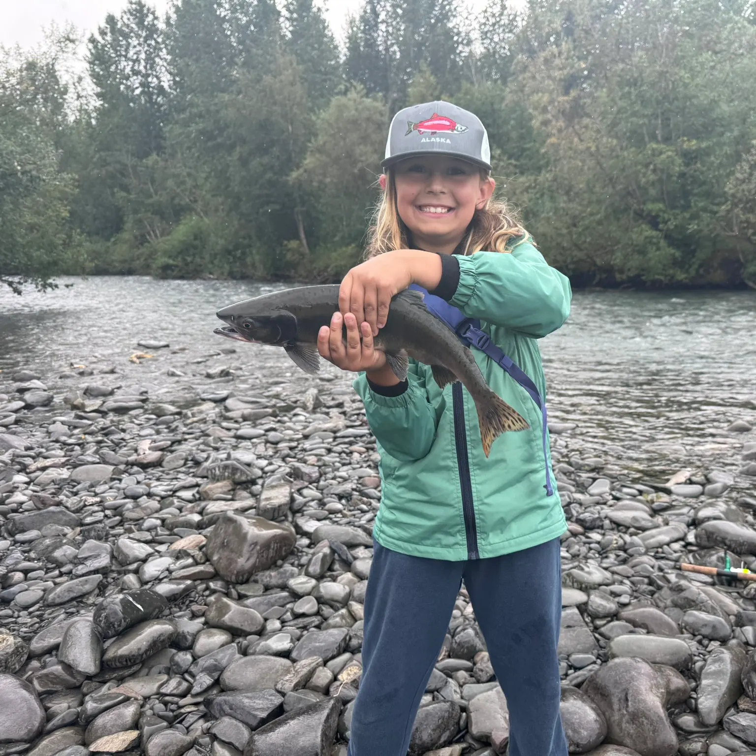 The most recent Pink salmon catches on Fishbrain