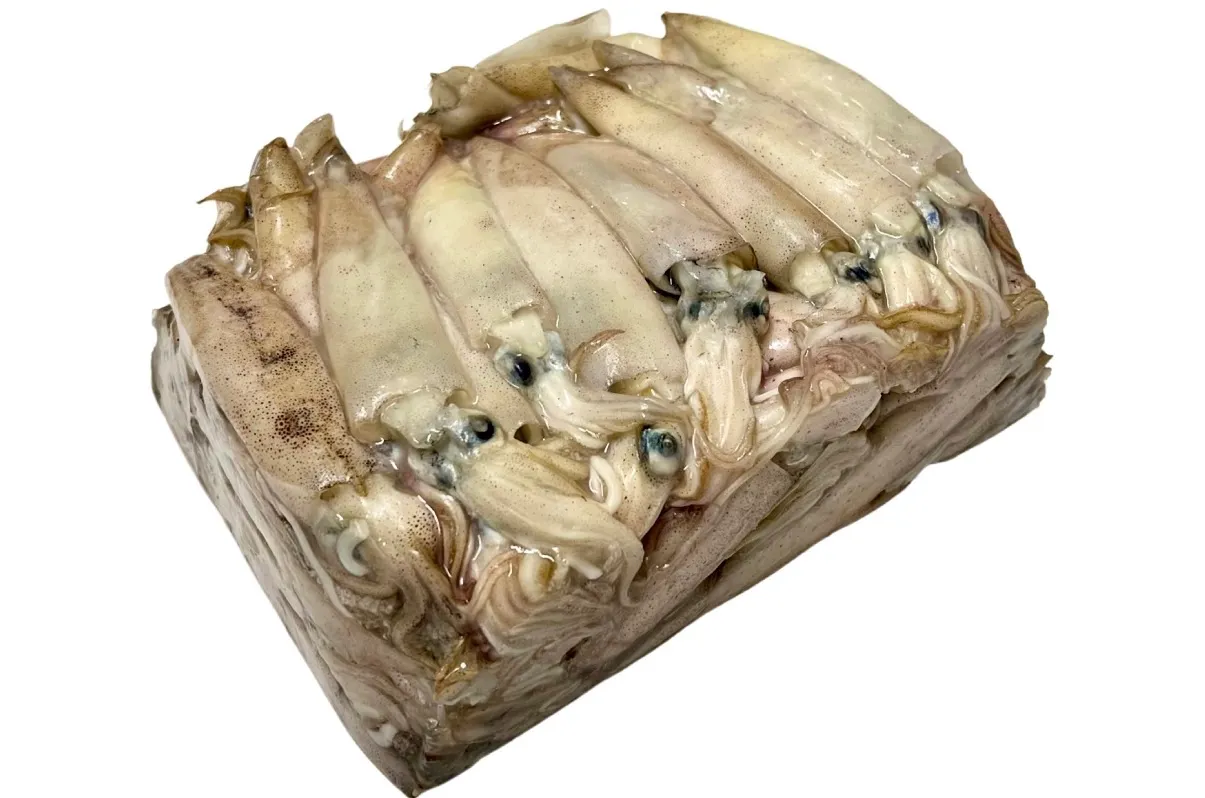 Frozen Squid