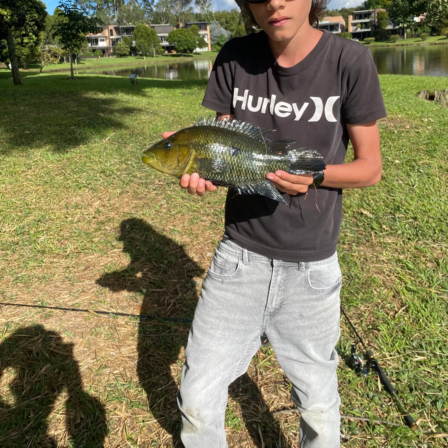 The most recent Three spotted tilapia catches on Fishbrain