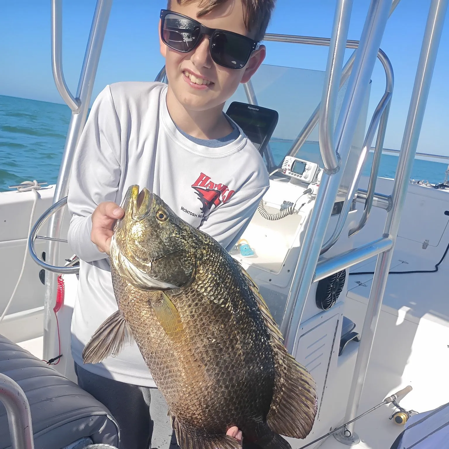 The most recent Atlantic tripletail catches on Fishbrain