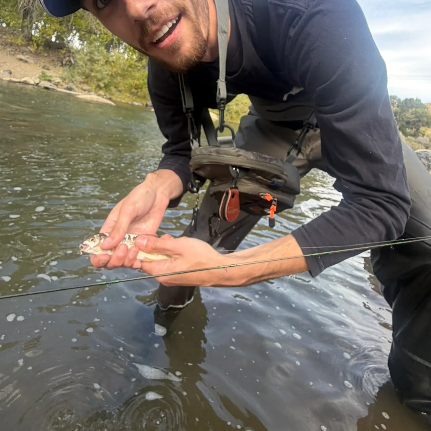 Mountain whitefish caught on Fishbrain