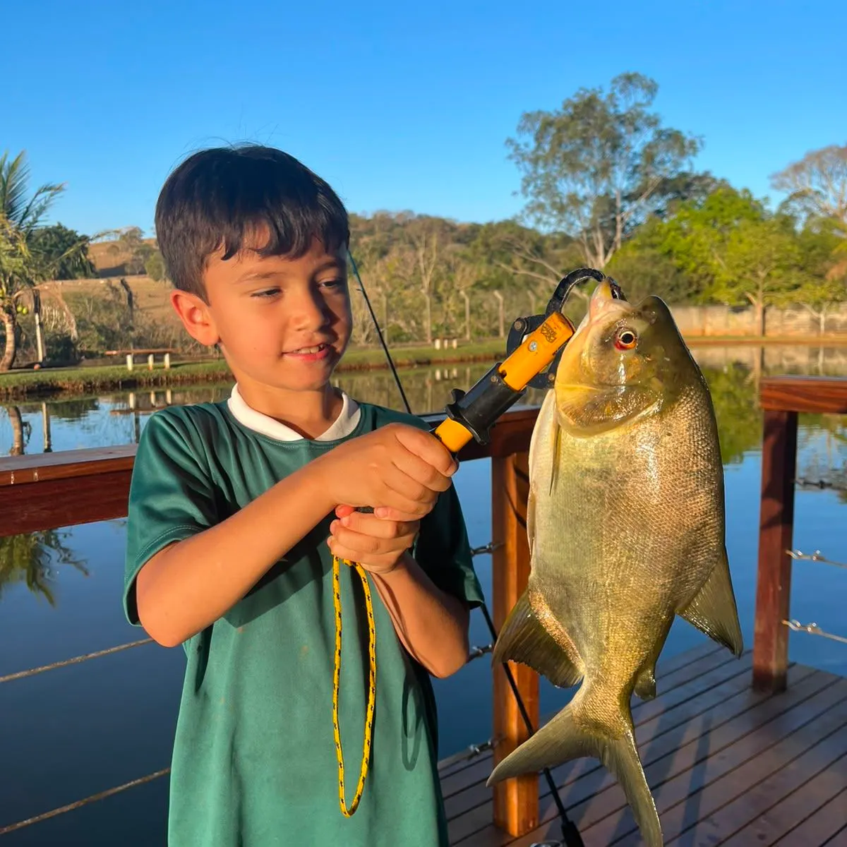 The most recent Tambacu catches on Fishbrain