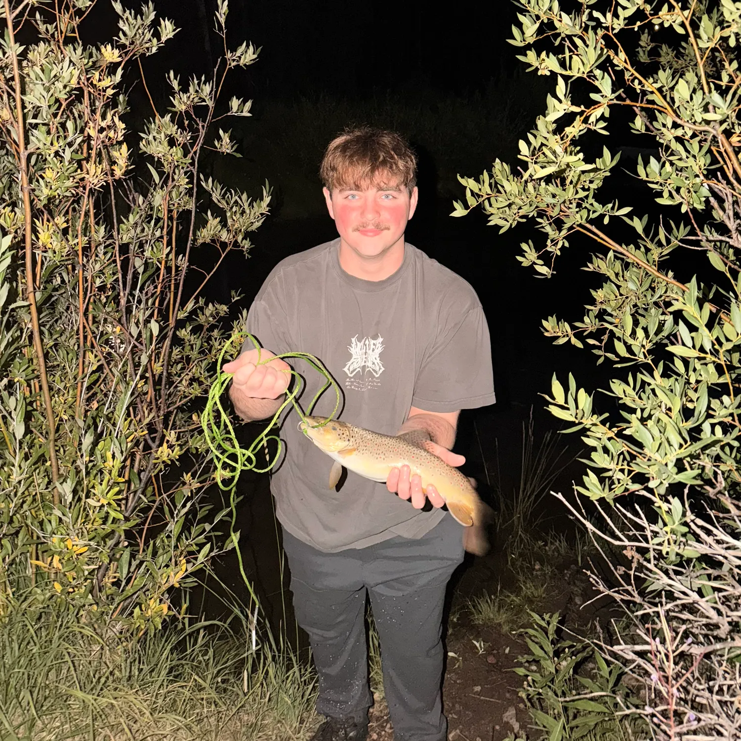 Brown trout caught on Fishbrain