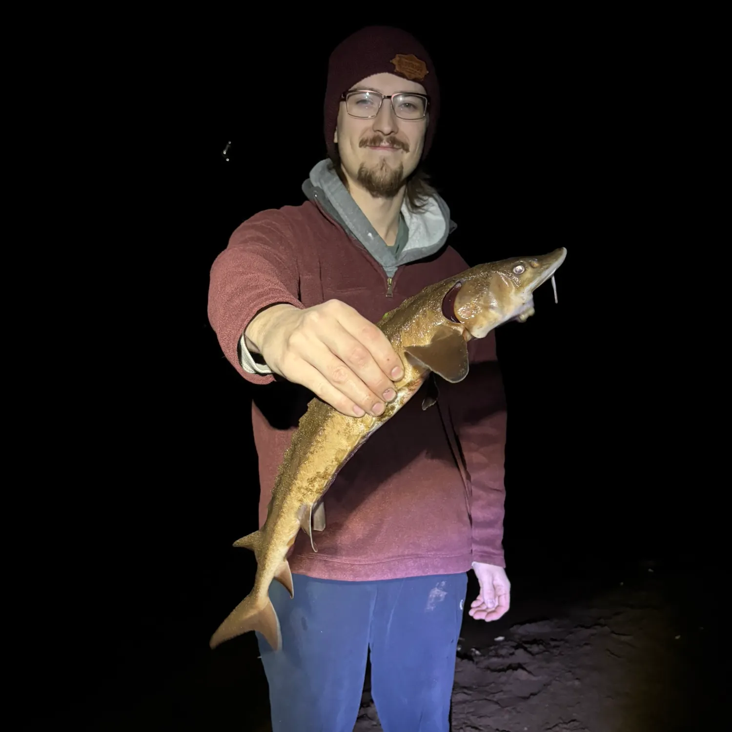 Lake sturgeon caught on Fishbrain