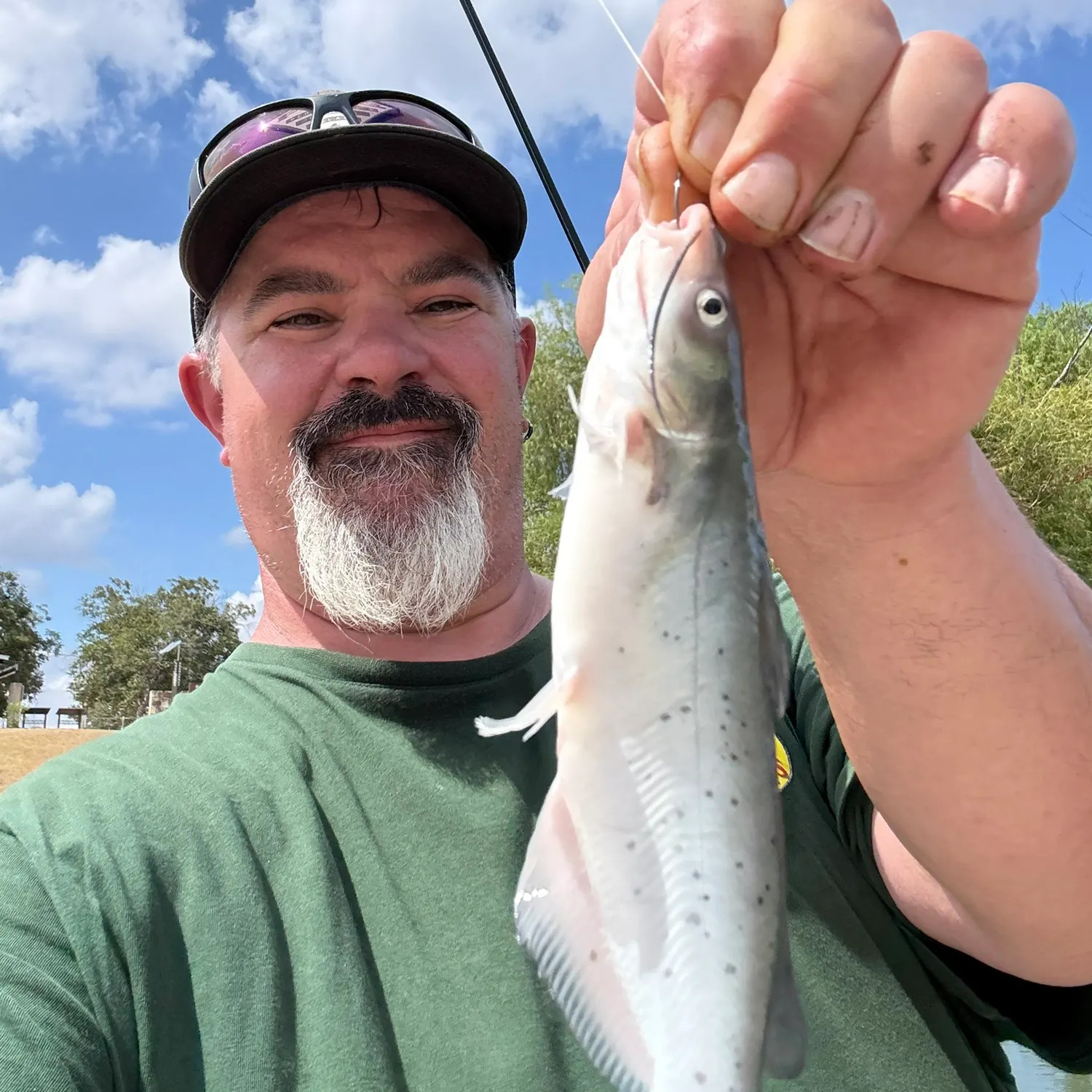 Channel catfish caught on Fishbrain