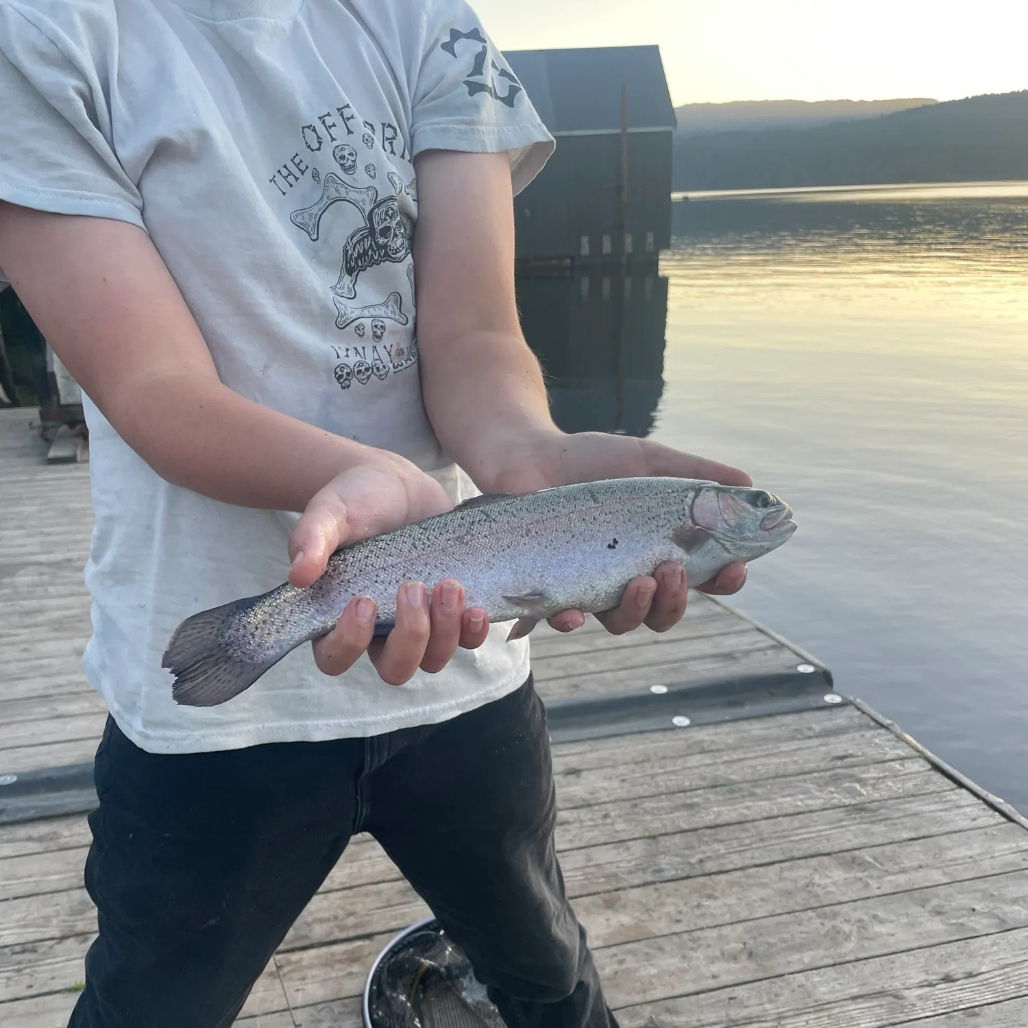 Rainbow trout caught on Fishbrain