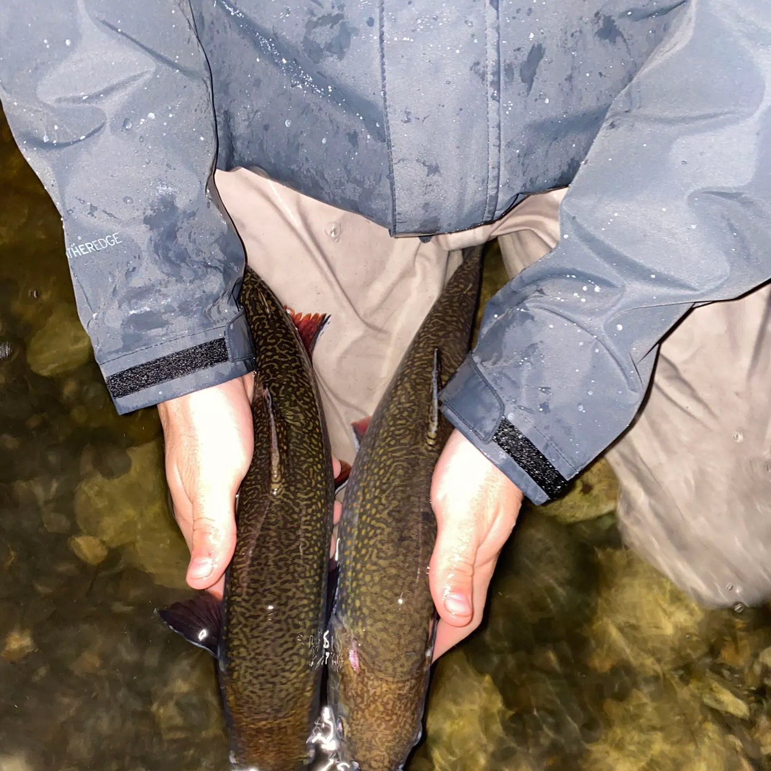 angler catch