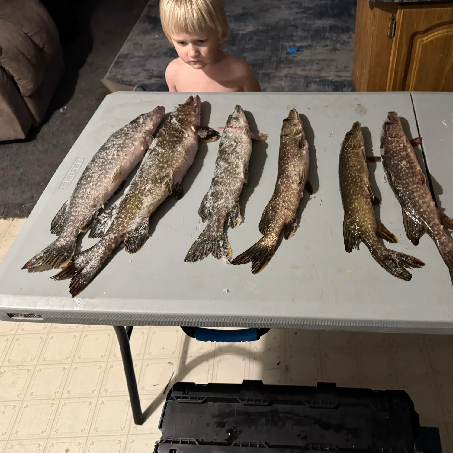 recently logged catches