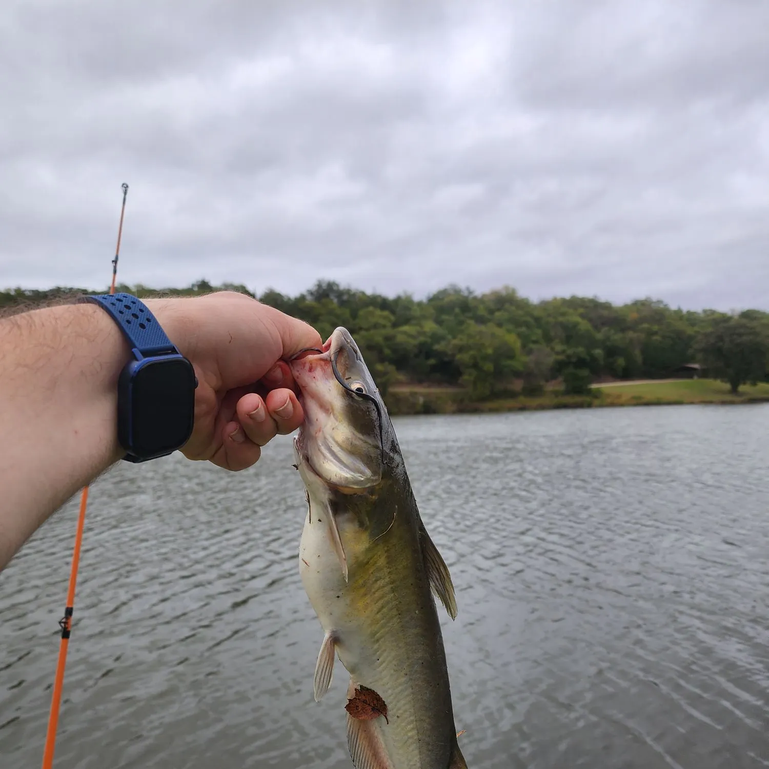 catch