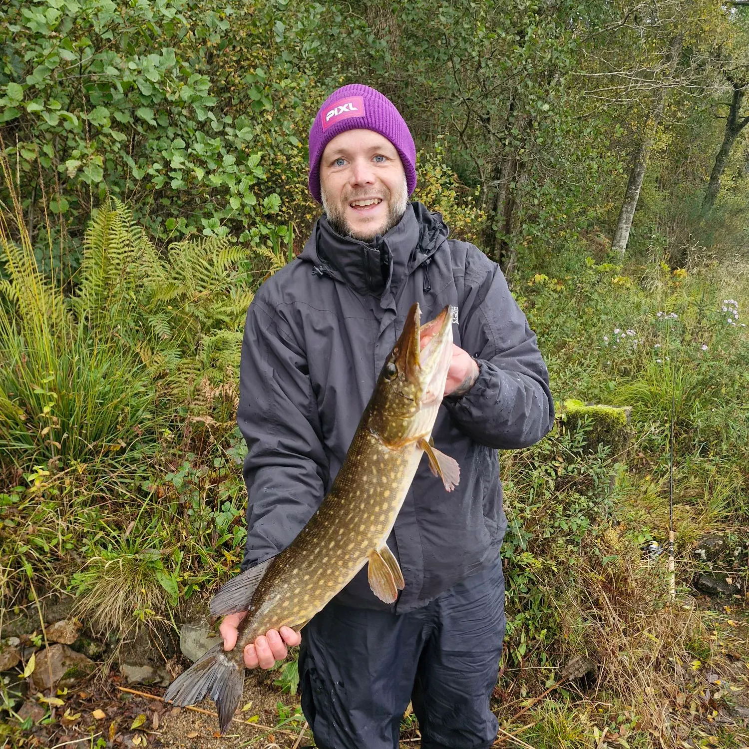 Northern pike caught on Fishbrain