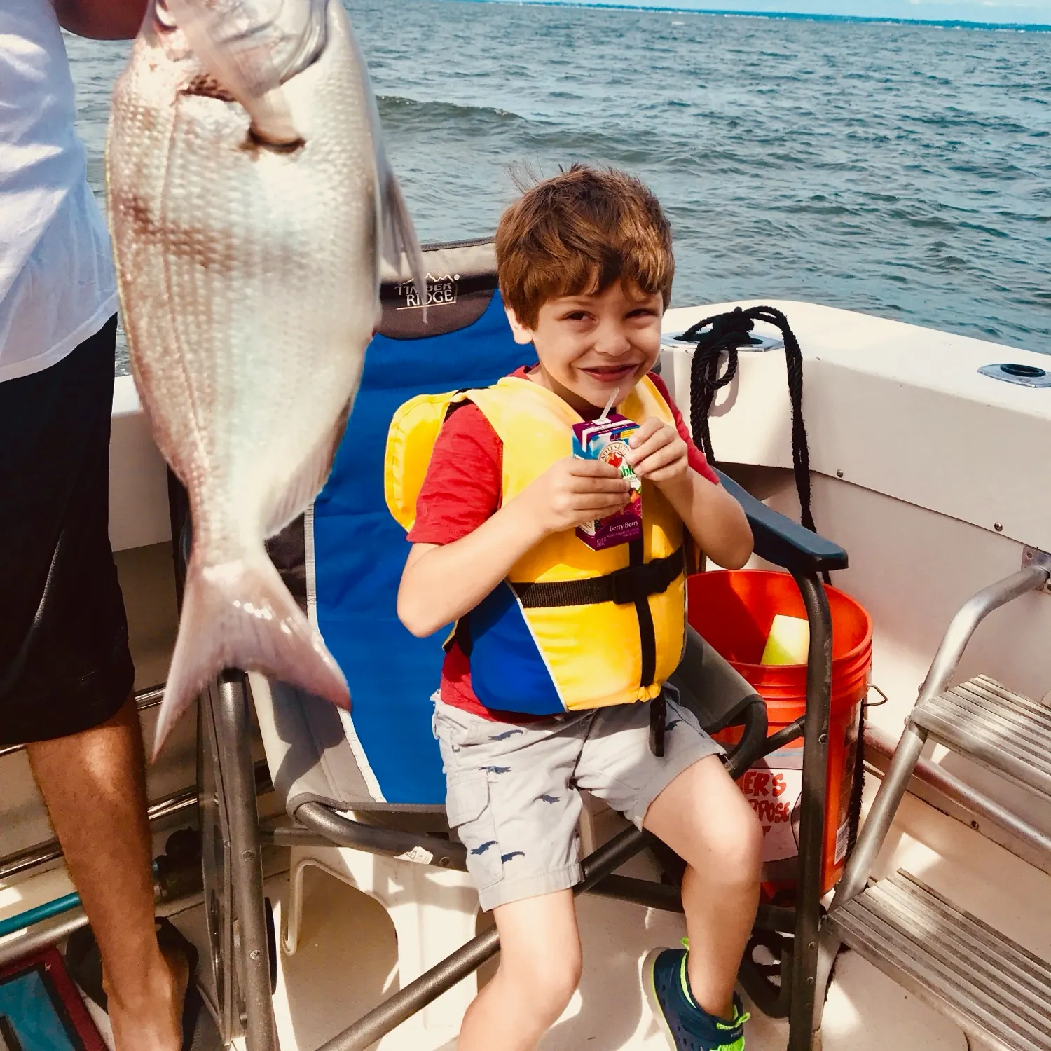 Scup caught on Fishbrain