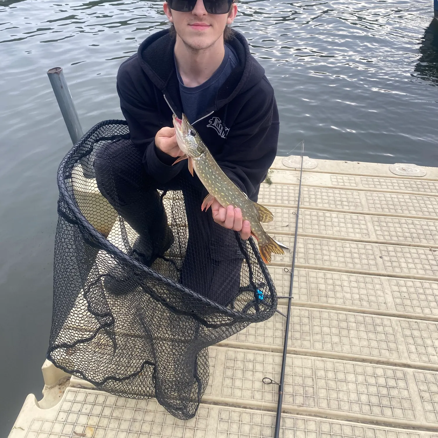 Northern pike caught on Fishbrain